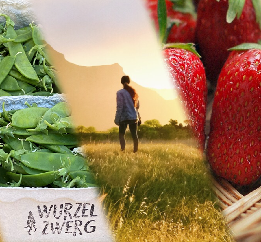 Erdbeeren und Gemüse 9